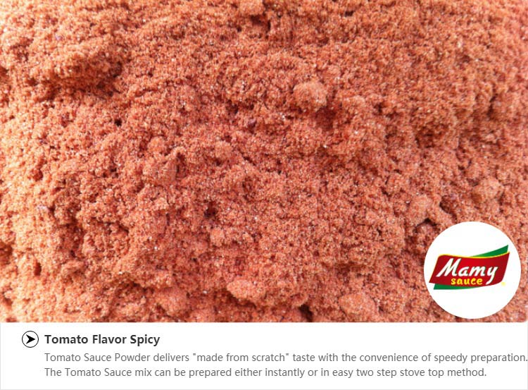 Halal Tomato Gravy Mix Sauce Powder Spicy