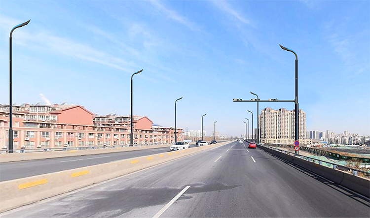 LED Vertical Solar Street Pole With Solar Cylindrical 2FSG118-NEWLIGHT ENERGY LED Vertical Solar Street Pole With Solar Cylindrical 2FSG118-NEWLIGHT ENERGY