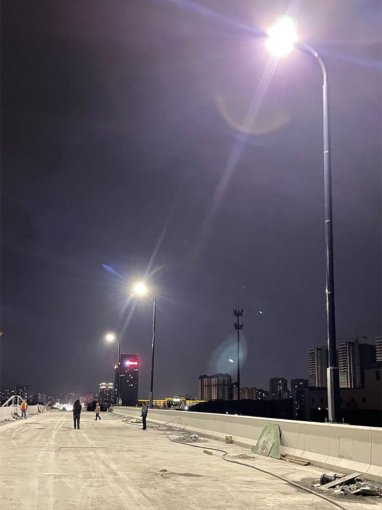 LED Vertical Solar Street Pole With Solar Cylindrical 2FSG118-NEWLIGHT ENERGY LED Vertical Solar Street Pole With Solar Cylindrical 2FSG118-NEWLIGHT ENERGY