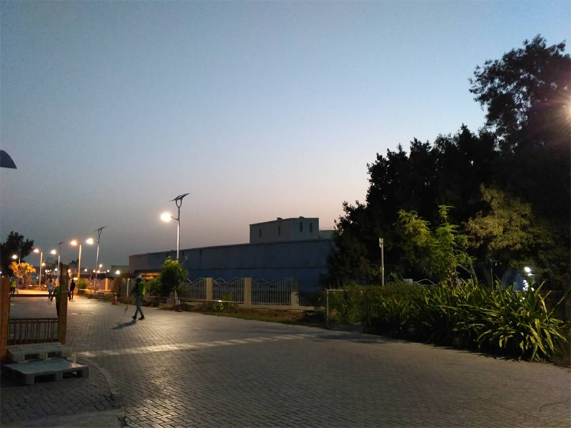 60W LED Wave Solar Street Light With Flexible Solar Panels-2FSG151-NEWLIGHT ENERGY 60W LED Wave Solar Street Light With Flexible Solar Panels-2FSG151-NEWLIGHT ENERGY