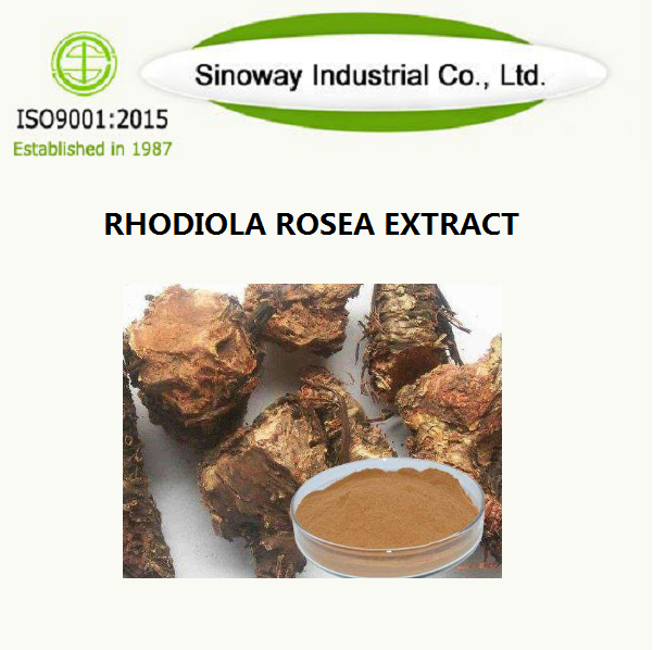 Экстракт Rhodiola Rosea