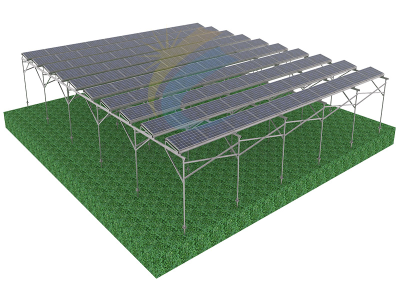 Сельское хозяйство тепличная солнечная структура