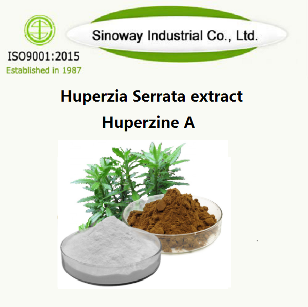 Экстракт Huperzia Serrata / Гиперзин А 102518-79-6