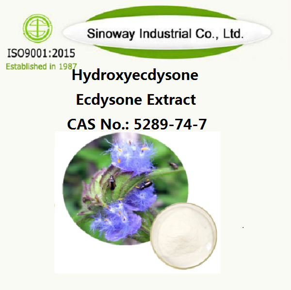 Гидроксиэкдизон; Экстракт экдизона β-экдизон 5289-74-7