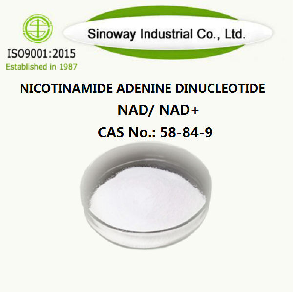 Никотинамидадениндинуклеотид НАД 53-84-9